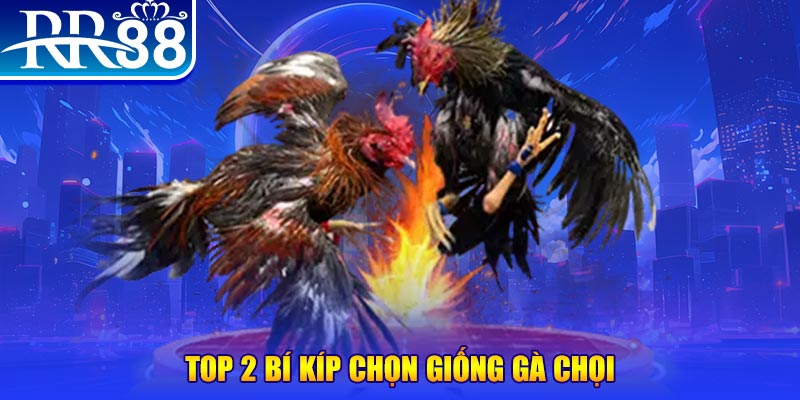 mcw678 bắn cá h5