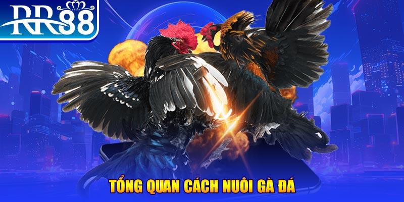 mcw678 xổ số thứ ba