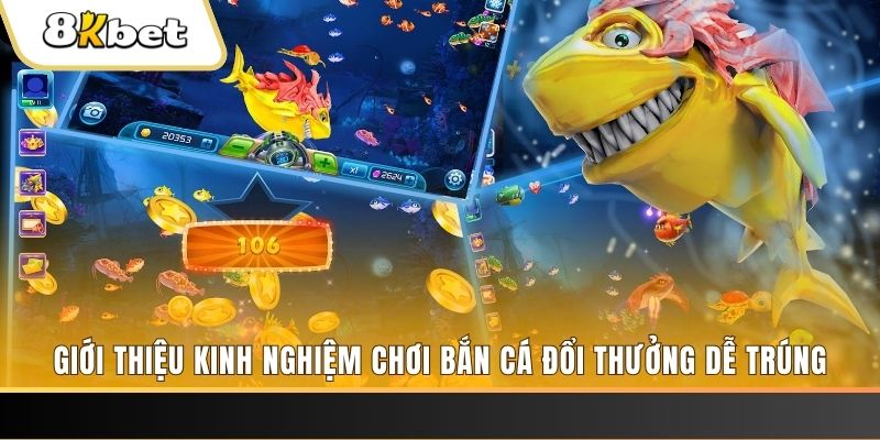 mcw678 xổ số miền bắc hôm