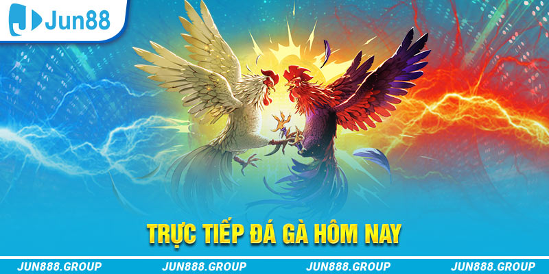 mcw678 trực tiếp đá gà thomo