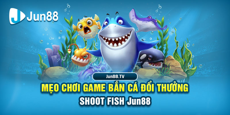 mcw678 tải game đánh bài online về máy tính