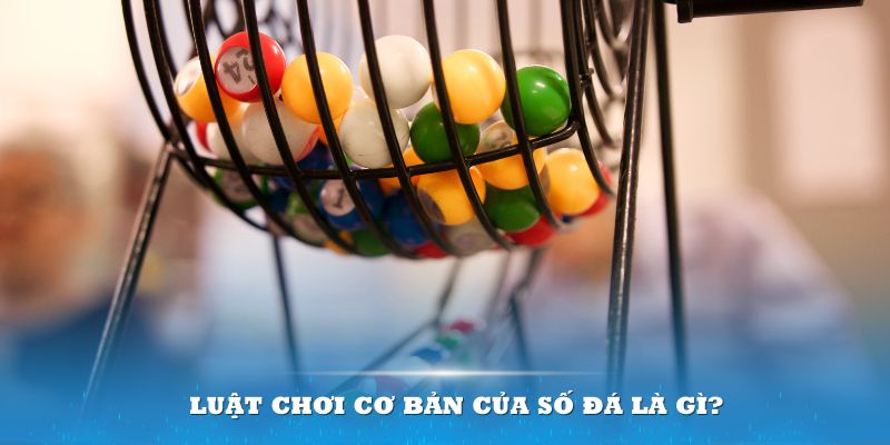 mcw678 Đĩa màu ace