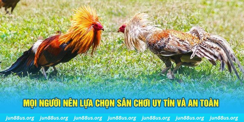 mcw678 Tài Xỉu