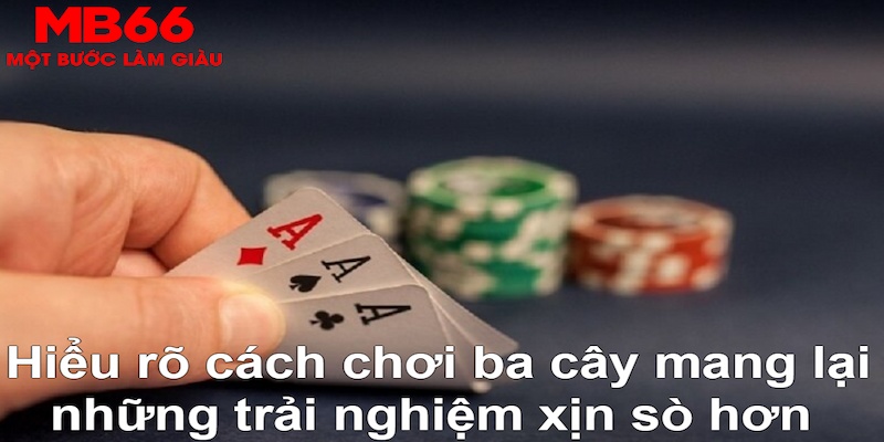 mcw678 DB Trực Tuyến