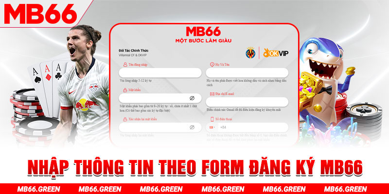 mcw678 gà chọi c1 thomo