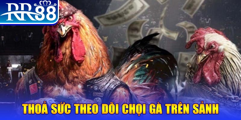 mcw678 casino online là gì